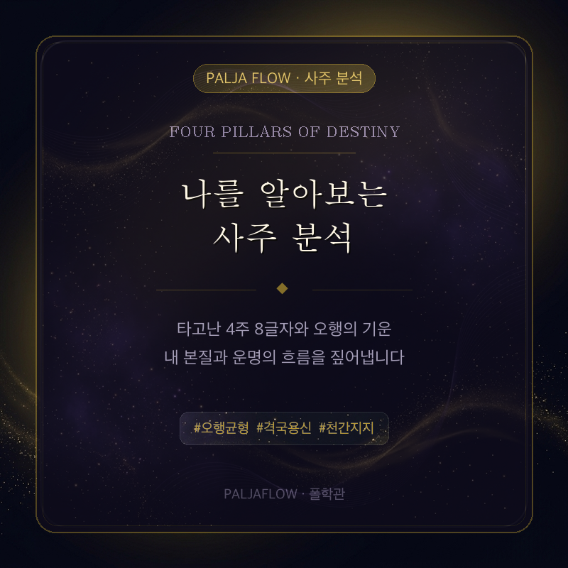 2027 신년운세 & 사주 분석